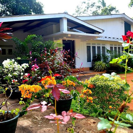 Molino Tourist Rest Anuradhapura Ξενοδοχείο Εξωτερικό φωτογραφία